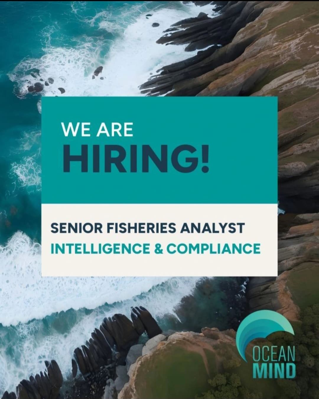 OceanMind Is Hiring a Senior Fisheries Analyst for a Fully Remote Global Role – Apply by 13 September 2026